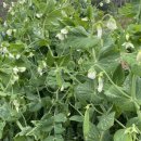 귀순농장 이미지