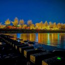 월정교 화장실 이미지