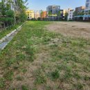 감일백제중학교 이미지