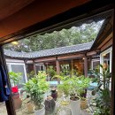 1898 | [경기/양주]양주골1898 두부전골 맛집 추천!!