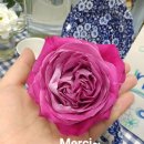 쥬르네일 이미지