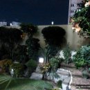 작은정원 이미지