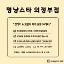 멍냥스타 강아지분양 고양이분양 이미지