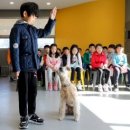 패밀리 동물병원 이미지
