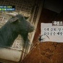산내들 흑염소 네이버블로그