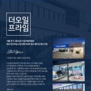 더오일 이미지