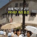 1959년 서울 이미지