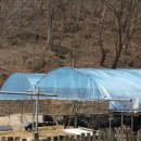 괴산염소농장 이미지