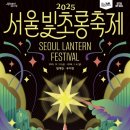 청계천로 청계2가교차로 | 2025 서울빛초롱축제(17회) 일정·장소·관람 꿀팁 총정리 | 청계천 겨울 데이트 명소 - 서울 가볼만한...