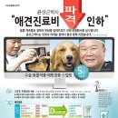 중앙동물병원 이미지