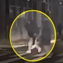횡단보도 부근 이미지