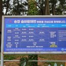 송정솔바람야영장 이미지