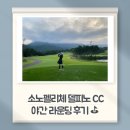 동양화(야간) | [속초 골프장 후기] 소노펠리체 델피노 CC 야간라운딩 후기