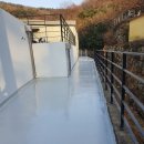 영화도장 이미지