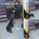 꼬리치는 강아지 이미지