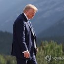 트럼프 이미지