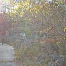 청학동(도인촌) 이미지