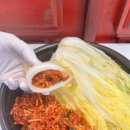 김치뚝딱 이미지