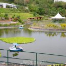 투어 팜(TOUR FARM) 이미지