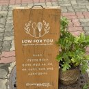 로포유
