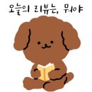 피엘디 이미지