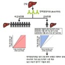 분당차병원 전홍재-김찬 교수 연구팀, 종양 급속 성장 확인“면역항암제 치료 10명 중 1명은 상태 악화” 이미지