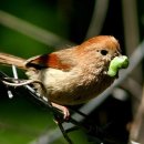 종림의수족보조기연구센타 이미지