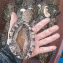 해광공구 이미지