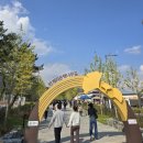 문막읍사무소 | [원주] 반계리 은행나무, 원주 문화의거리 만두축제, 포레스트리 캠핑장