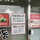 동태한마리 | 파주 심학산 동태한마리 생태탕 후기와 솥밥 팁까지