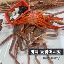 영덕대게식당 | 영덕 동광어시장 대게, 자매집 자매식당 대게 홍게 후기 내돈내산