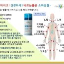 소마덤젤