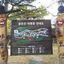 남통동 족구장 Daum카페