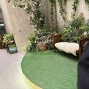 뉴로드짐 | [웨딩홀] 발산 “더뉴컨벤션웨딩” 솔직홀투어 + 견적공유