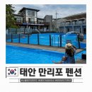 태안 만리포 펜션 노을에 기댄 언덕 가성비 펜션 수영장 숙소 후기
