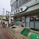 초록식당 | 함평 초록식당 : 달달한 육회와 탱탱한 낙지 비빔밥 맛집