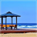 풍성한횟집 이미지