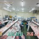 이웃집돼지
