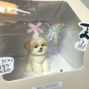 만수2구 | 강아지 생일선물 주문제작케이크 왈테이블