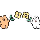 솔라이트플라워 이미지