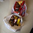 강릉소방서 | 혼자여행+졸업여행 강릉편