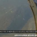 물고기태양광발전소 이미지