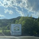 반려견동반 애견동반 가평/춘천여행 - 도담도담애견펜션🏡