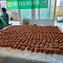 1027_새마을부녀회 EM 흙공 & 악취제거 및 환경살리기 이미지