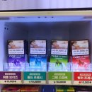 편의점 일회용 액상 전자담배 VUSE GO 800 [뷰즈 고 800] 사용 후기