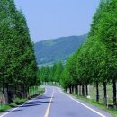 [국도19] 충주시 구룡리