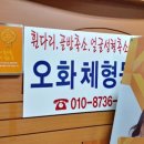 오화체형동안