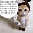 마이따 이미지