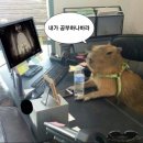 뿌직 이미지