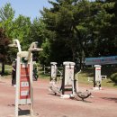 용의발광장 이미지